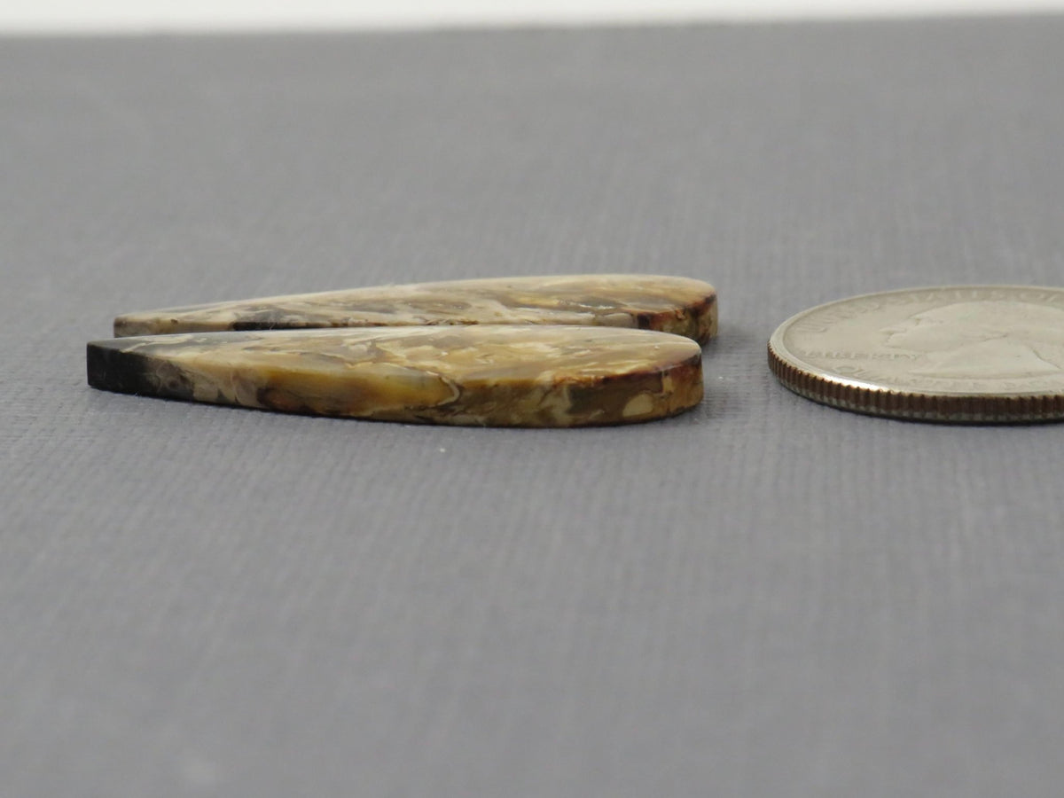 Black Fossilized Palm Root Pear Cabochon Pair, 35x11.5mm | PRF105 - Gem Enthusiast