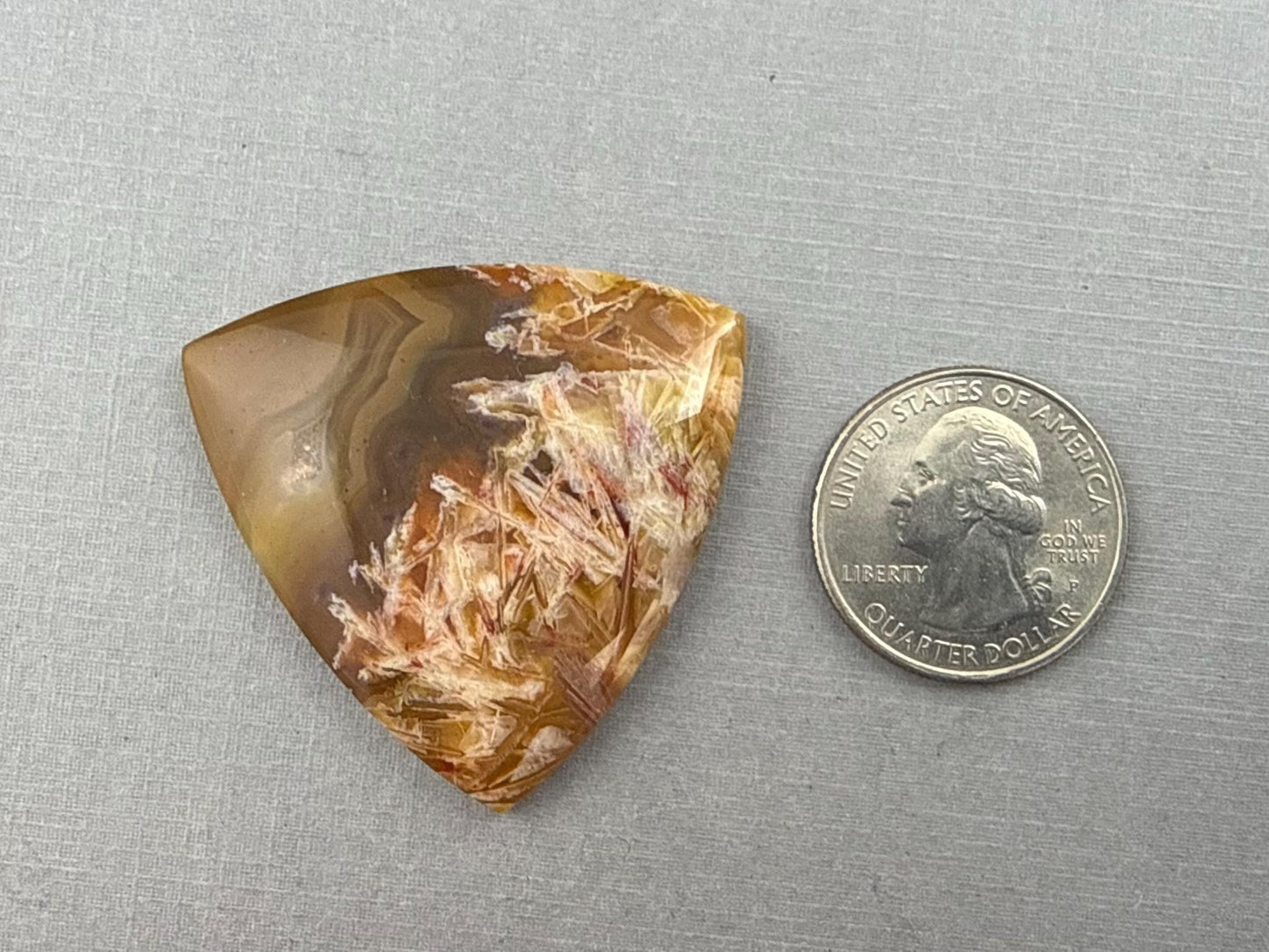 Condor Sagenite Agate Cabochon | Chalcedony from Patagonia Argentina | AG307 - Gem Enthusiast