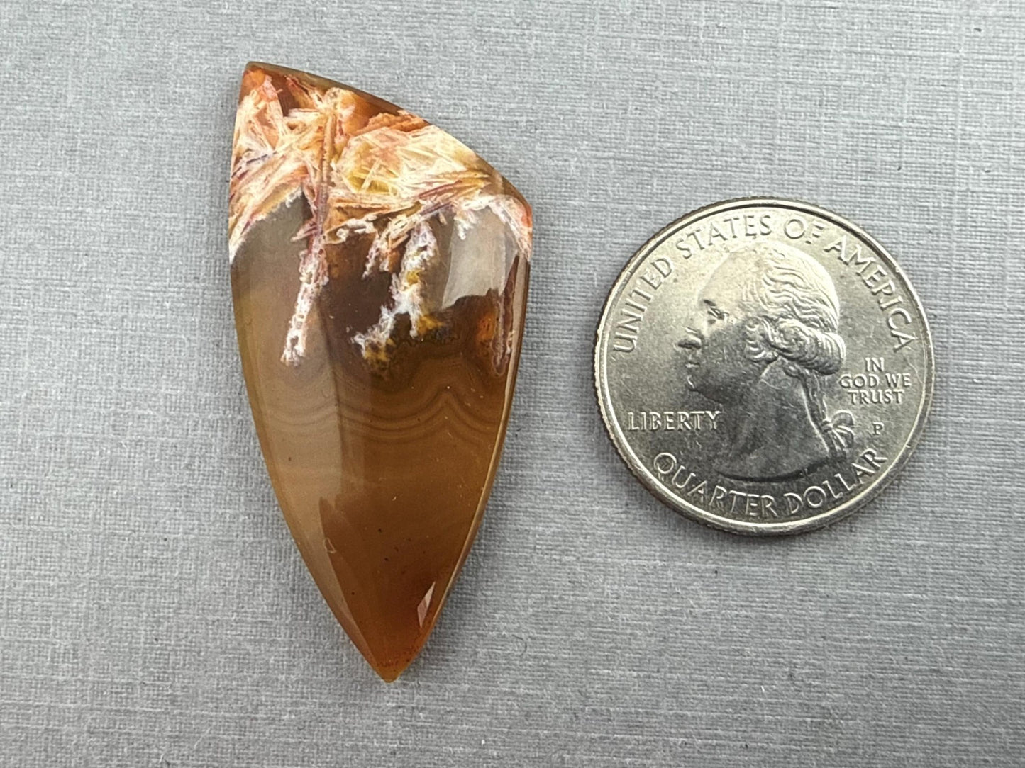 Condor Sagenite Agate Cabochon | Chalcedony from Patagonia Argentina | AG308 - Gem Enthusiast
