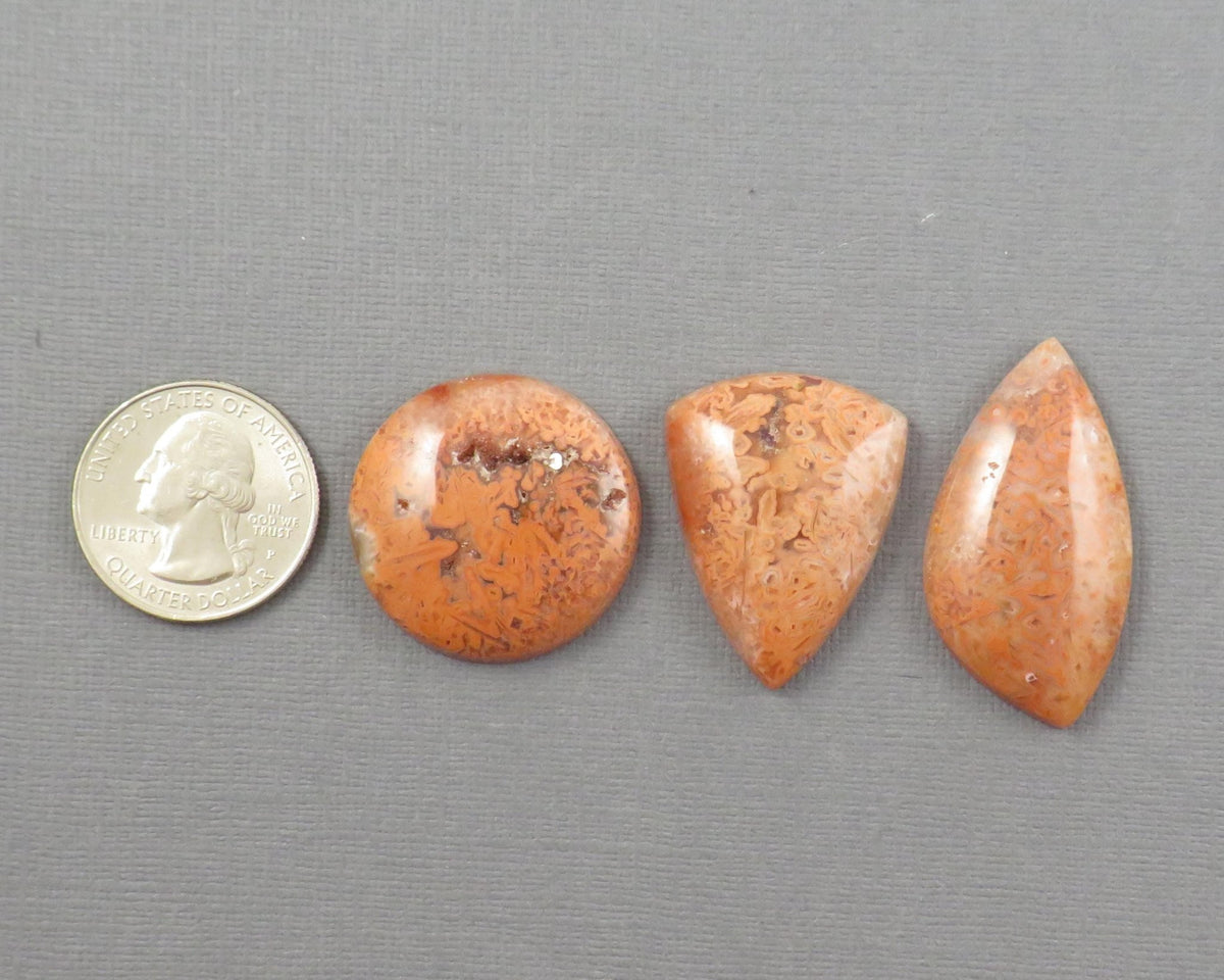 Crazy Lace Agate Cabochon Lot | 29–38mm, avg 35ct | 3-Stone Lot | Indonesia | AG401 - Gem Enthusiast