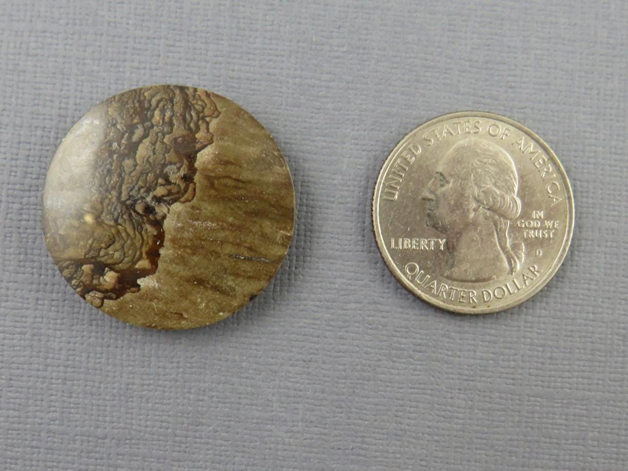 Deschutes Biggs Jasper from Oregon | Mined in the USA | JS409 - Gem Enthusiast