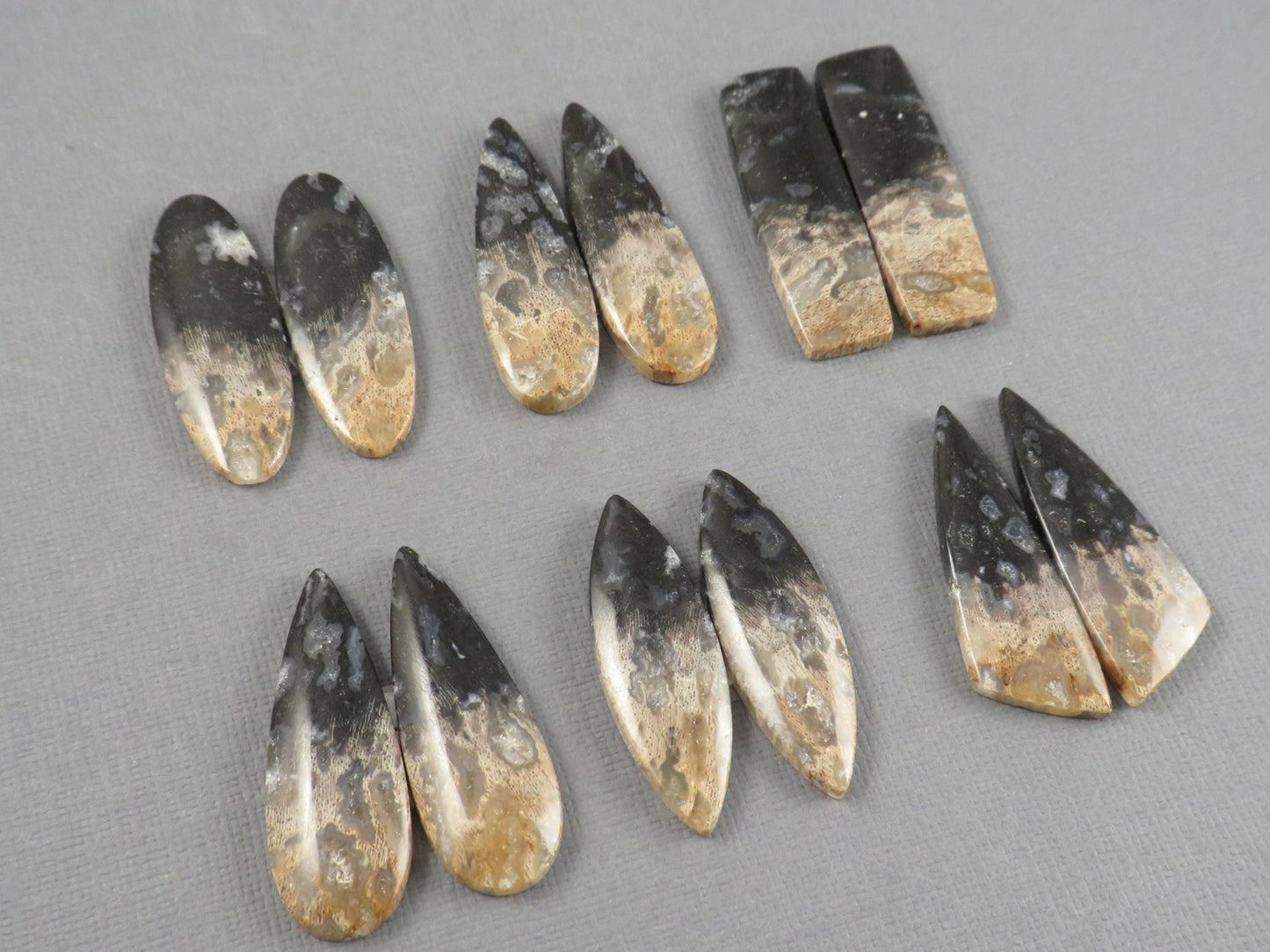 Fossilized Palm Root Cabochon | Opalized Wood | Per Pair | Indonesia | PRA100 - Gem Enthusiast