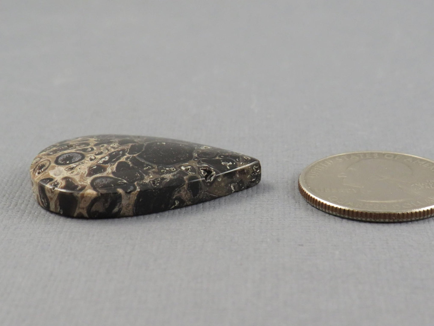 Fossilized Palm Root Cabochon Pear | Palm Root Eye | 35x25mm, 27.4ct | Indonesia | PRA105 - Gem Enthusiast