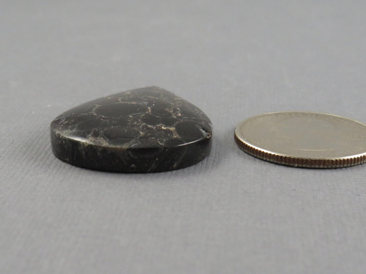 Fossilized Palm Root Cabochon Pear | Palm Root Stone | 34x25mm, 29.6ct | Indonesia | PRA104 - Gem Enthusiast