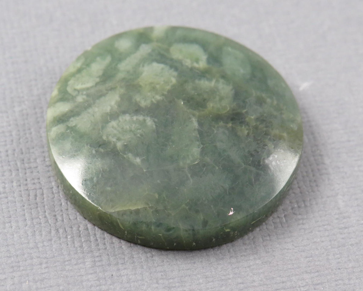 Green Fossil Coral Round Cabochon | 29.5x29.5mm, 40ct | Indonesia | FC112 - Gem Enthusiast