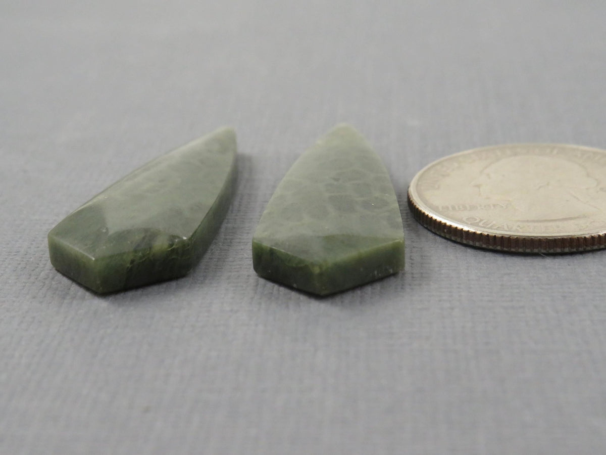 Green Fossil Coral Shield Pair | Pendant Stone | 36x13mm, 26ct | FC118 - Gem Enthusiast