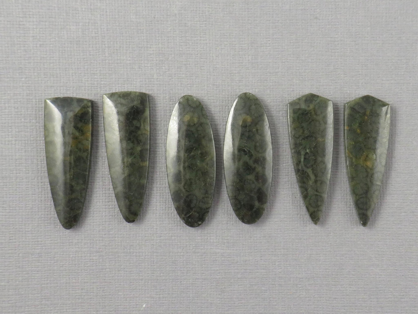 Green Fossilized Coral Cabochon Pairs | Agatized Fossil Coral | 36mm, avg 31ct | Per Pair | Indonesia | FC116 - Gem Enthusiast