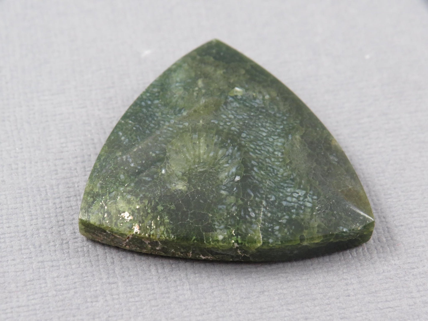 Green Fossilized Coral Cabochon Trillion | Agatized Gemstone | 34x33mm, 40ct | Indonesia | FC113 - Gem Enthusiast