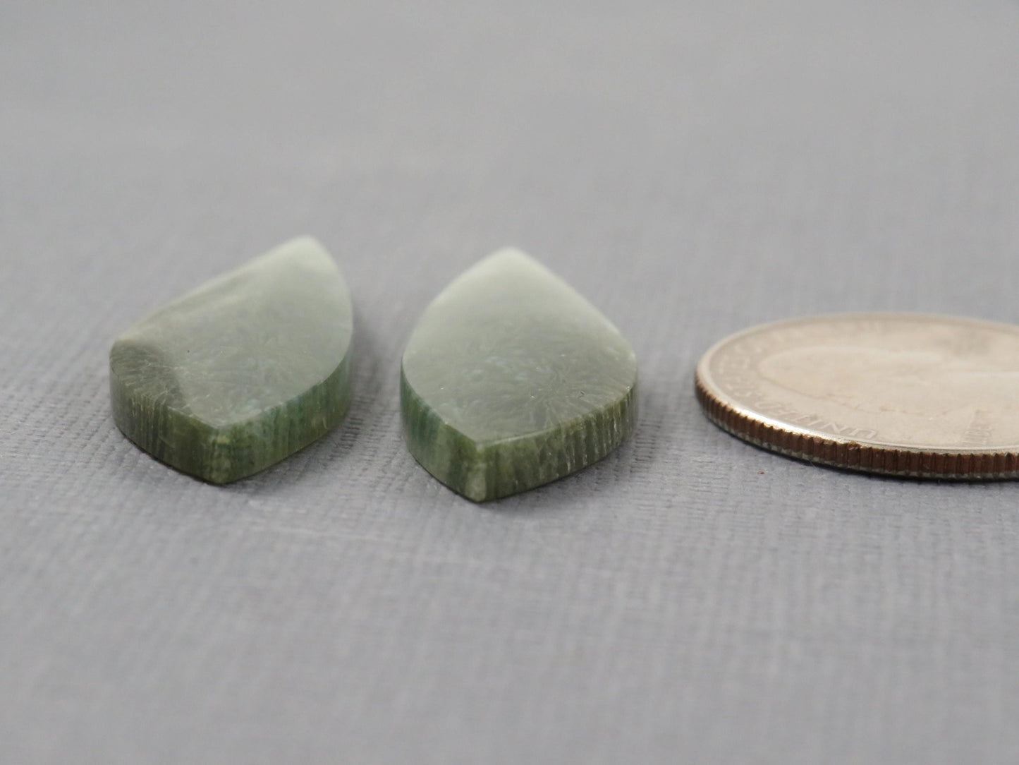 Green Fossilized Coral Pair | Fossil | 36.5x12.5mm, 23ct | Indonesia | FC106 - Gem Enthusiast
