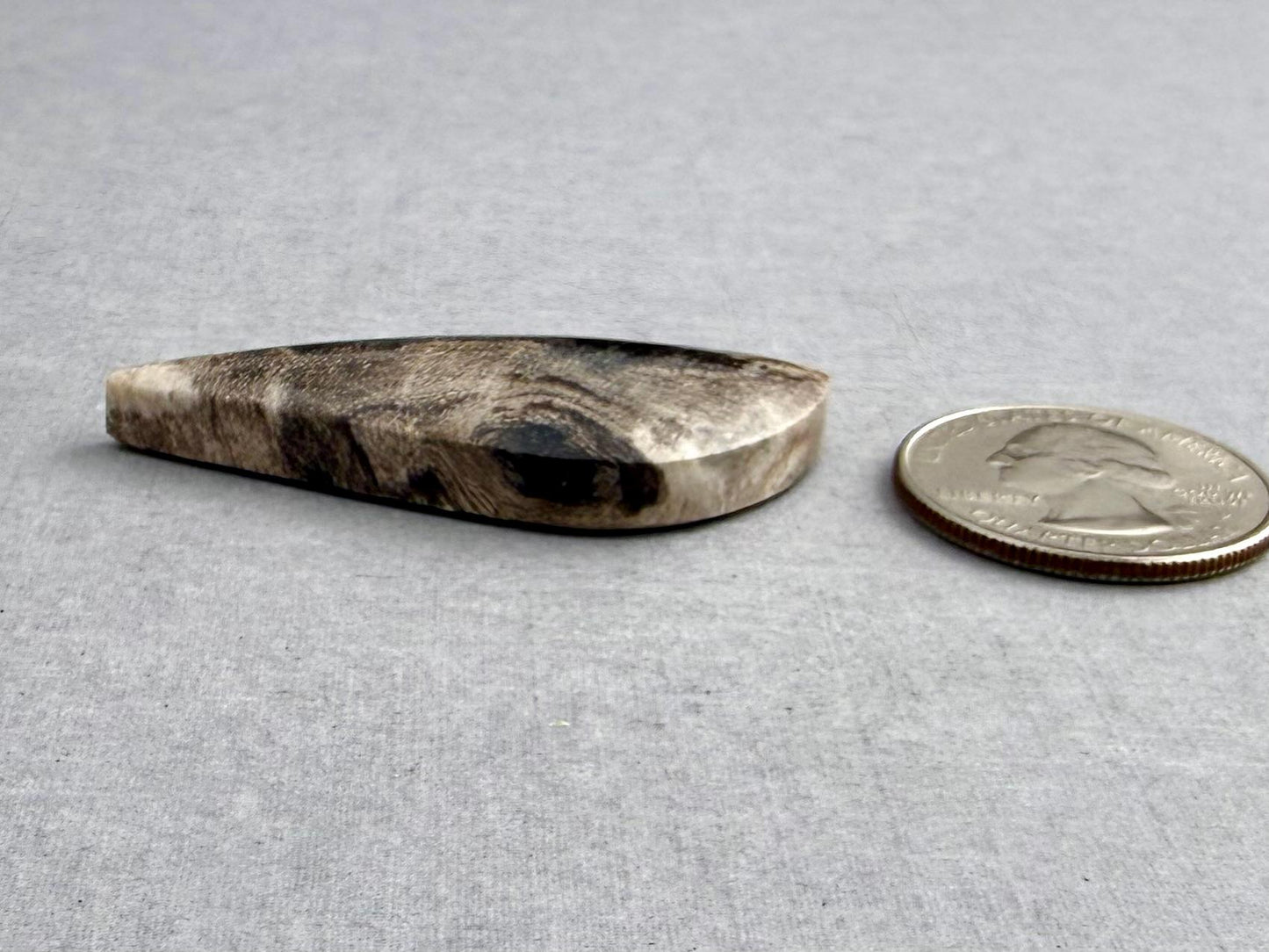 Smokey Petrified Wood | Natural Fossil Cabochons | WO253 - Petrified Wood, Smokey Quartz - GemEnthusiast