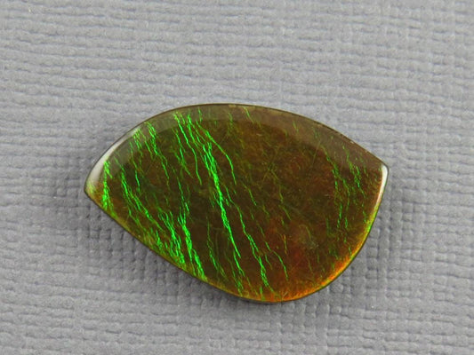 Canadian Ammolite Doublet | Natural Ammonite Fossil Cabochon | 21mm x 14mm | P148 - Canadian Ammolite - GemEnthusiast