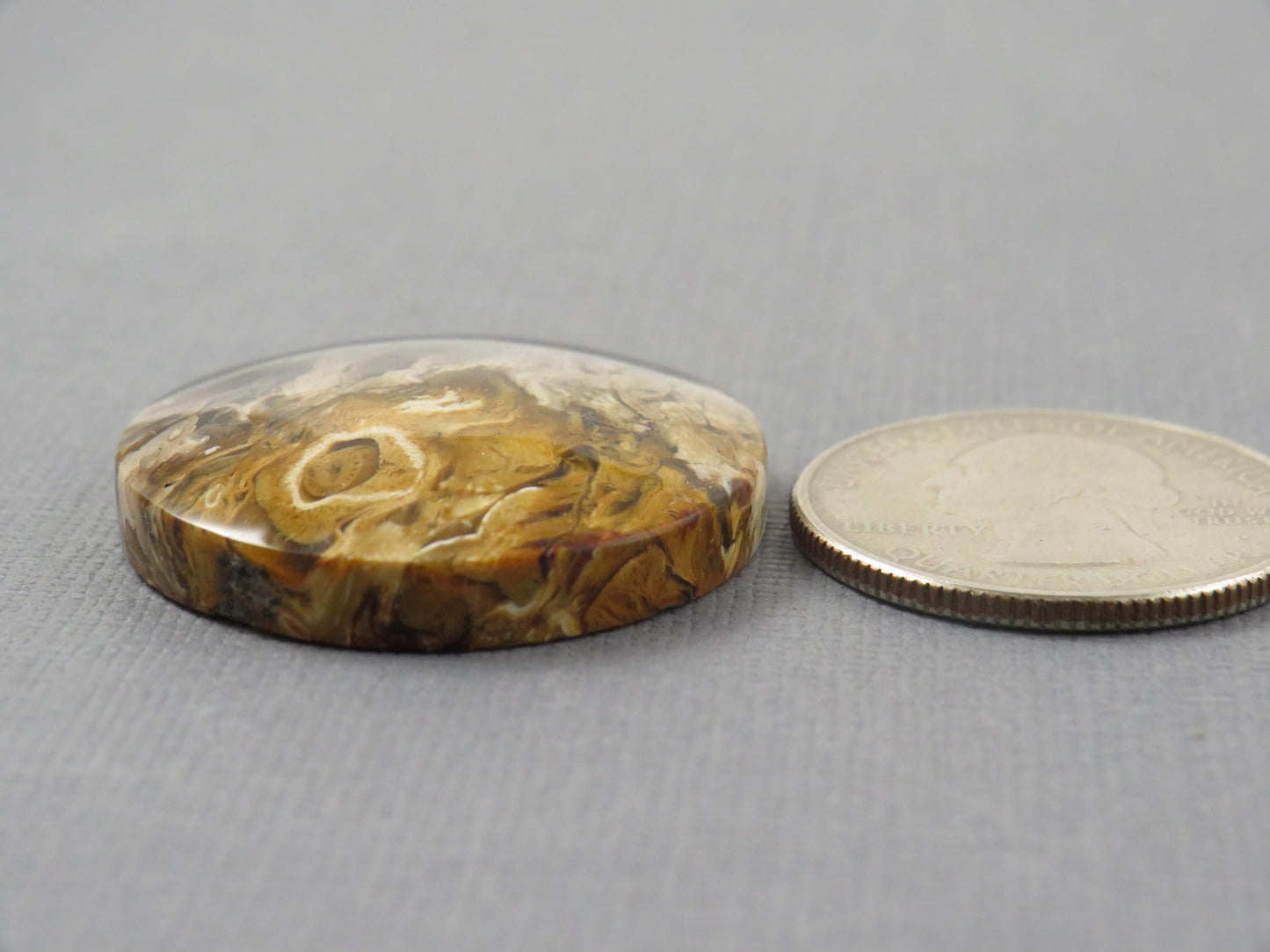 Fossilized Palm Root Round Cabochon | Flame Palm Root | 30x30mm, 48.4ct | Indonesia | PRF100 - - GemEnthusiast