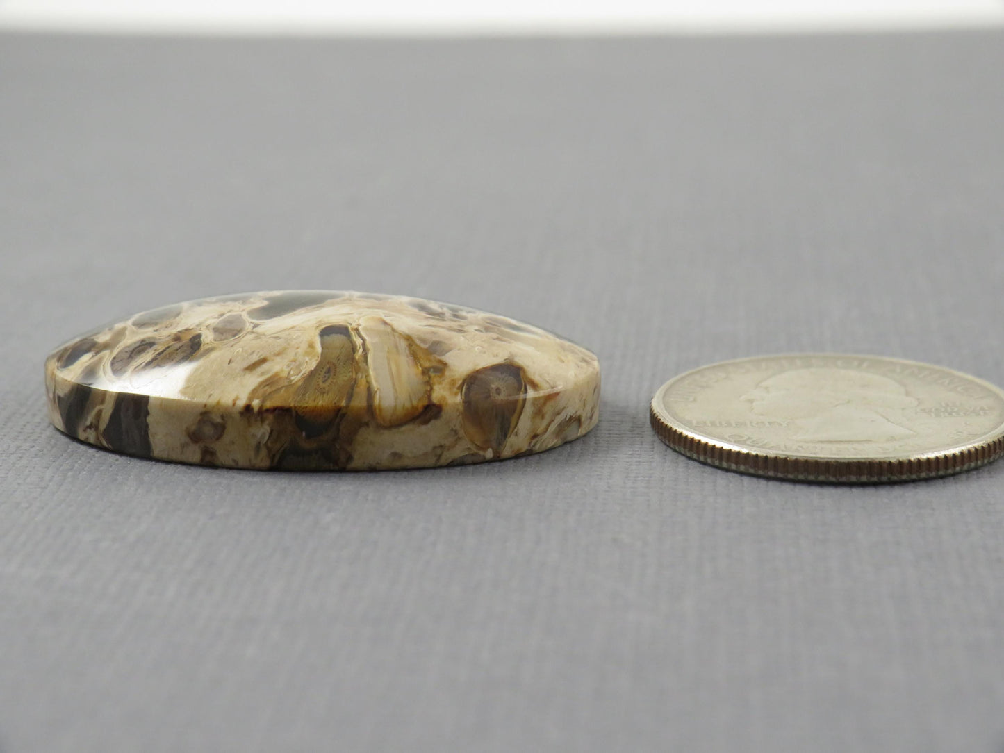 Fossilized Palm Root Cabochon Oval | Flame Pattern | 37x25mm, 62ct | Indonesia | PRF104 - - GemEnthusiast