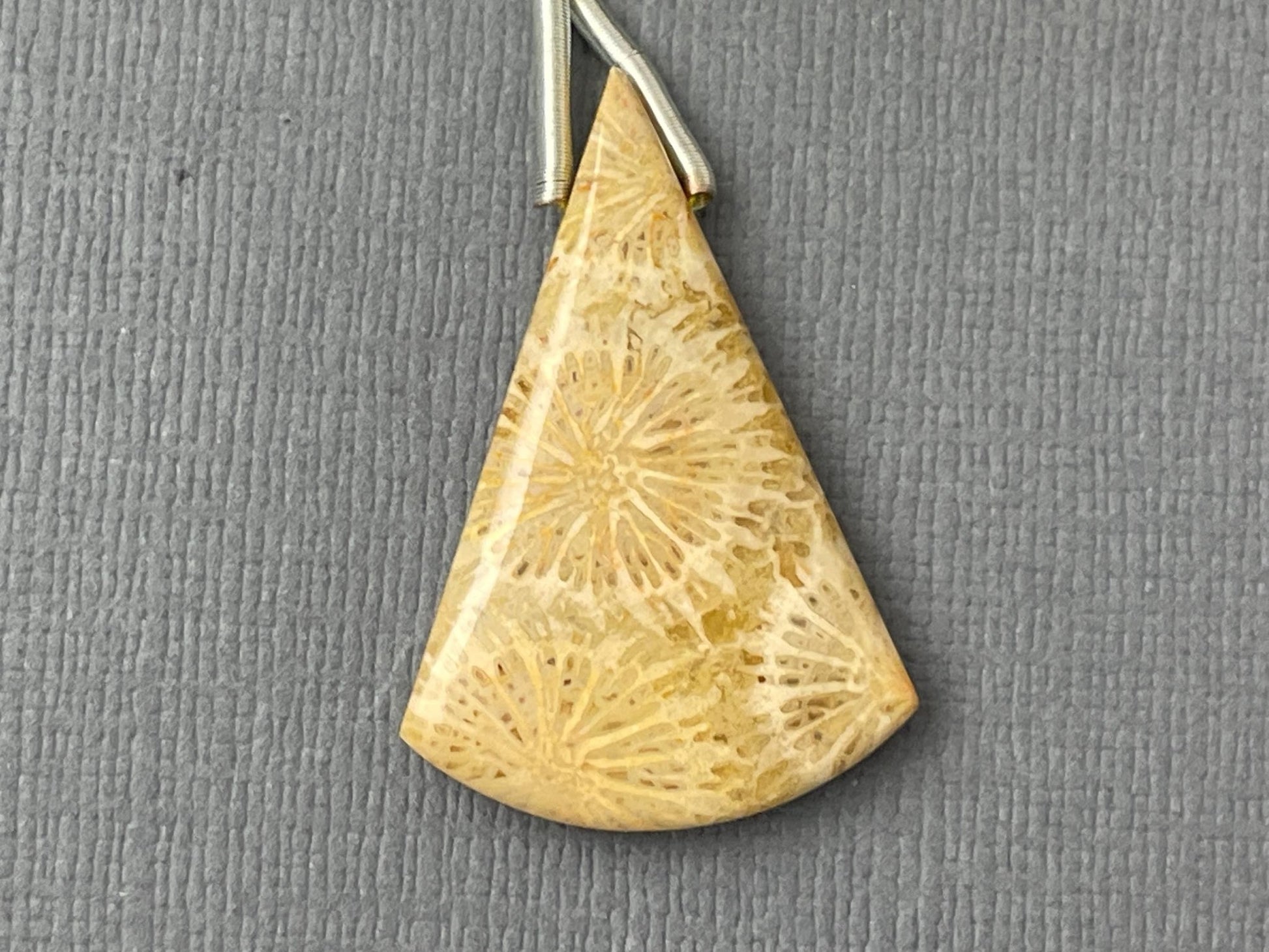 Large Fossil Coral Bead | Natural Loose Gemstone | Z216 - Gem Enthusiast