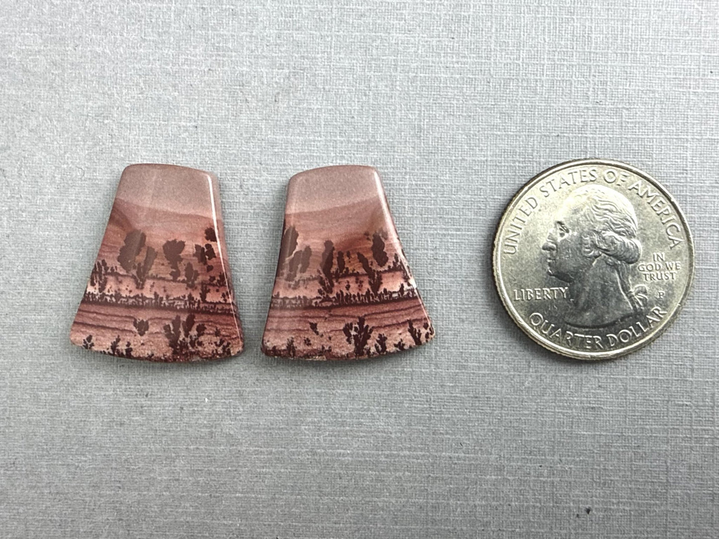 New Mexico Apache Sage Rhyolite Pair | 23x21x4 | Natural Cabochon | RH116 - Gem Enthusiast