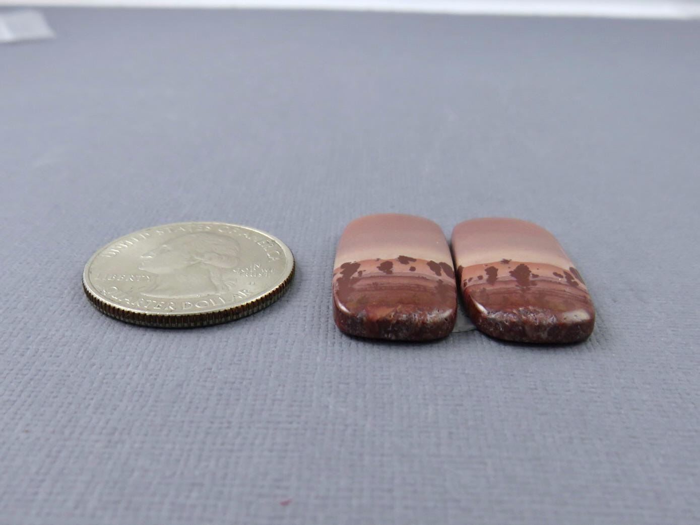 New Mexico Apache Sage Rhyolite Pair | 38x24x4 | Natural Cabochon | RH112 - Gem Enthusiast