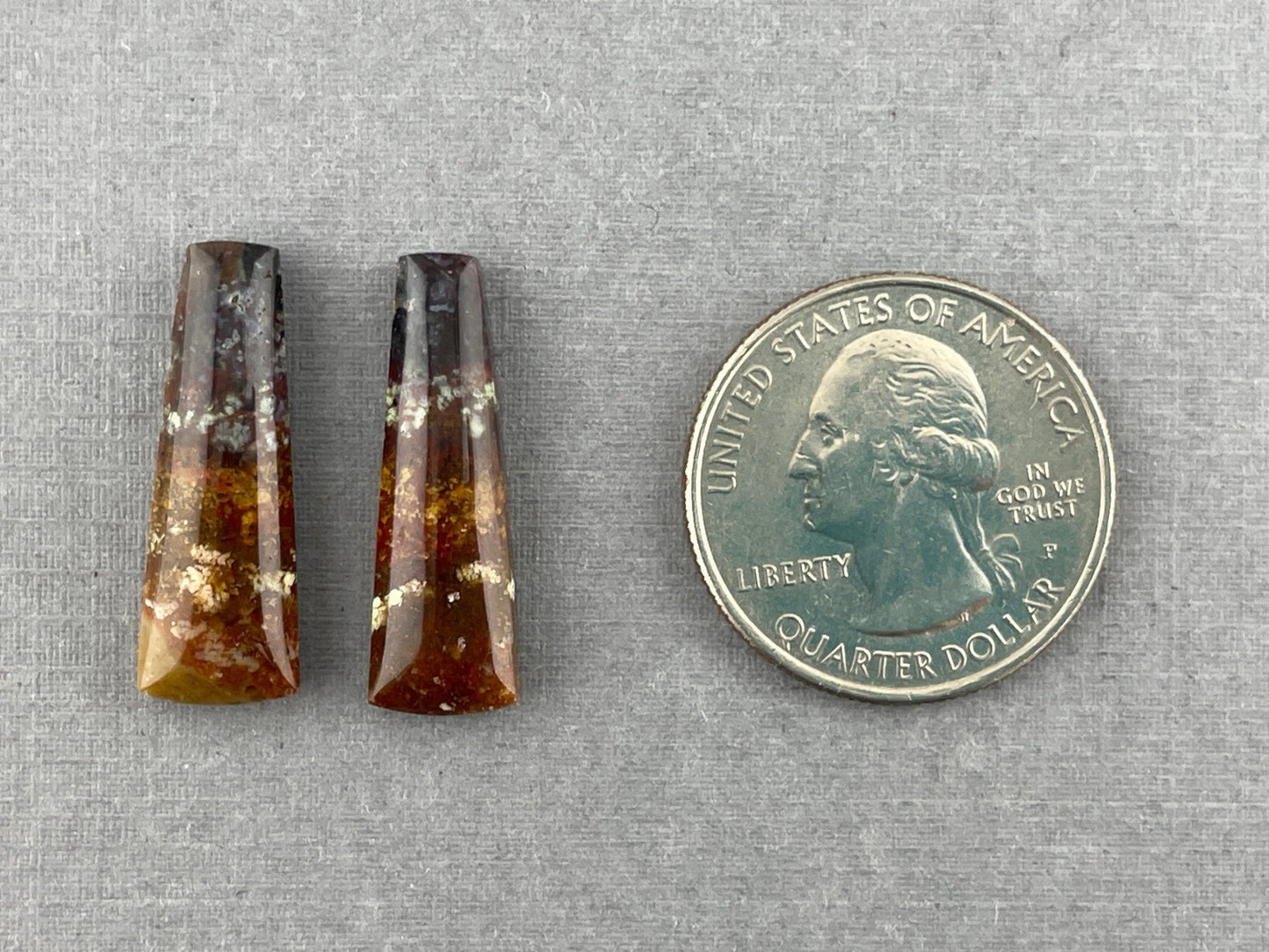 Petrified Wood Pair | Natural Fossil Cabochons | AG303 - Gem Enthusiast