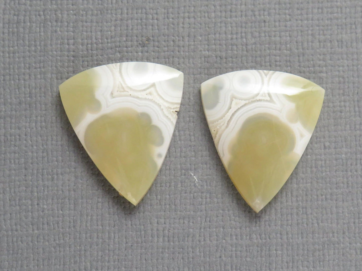 White Orbicular Agate Trillion | Cabochon for Setting | 20x17mm, 18ct | Per Pair | Indonesia | OA112 - Gem Enthusiast
