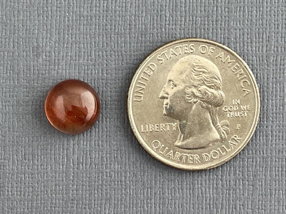 10mm Oregon Sunstone Round Cabochon | Natural American Gemstone | 3.75 carats | OSC276 - Oregon Sunstone - Gem Enthusiast