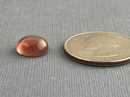 10mm Oregon Sunstone Round Cabochon | Natural American Gemstone | 3.75 carats | OSC276 - Oregon Sunstone - Gem Enthusiast
