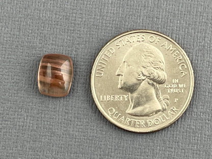 10x8 Oregon Sunstones Cushion Cabochon with Schiller | 3.53 carats | OSC279 - Gem Enthusiast