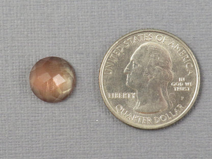 11mm Oregon Sunstone - Rose Cut Rose Cut Round | 4.62ct | Sun Crystal Mine, Oregon Sunstone | OSR121 - Gem Enthusiast