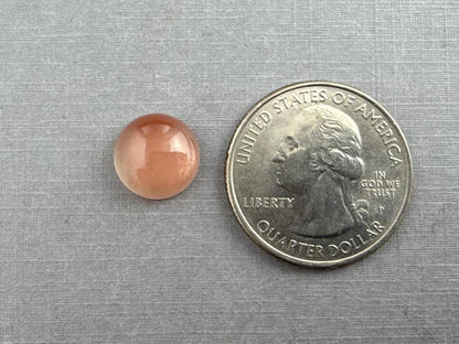 11mm Oregon Sunstone Round Cabochon | 5.19 carats | OSC315 - Gem Enthusiast