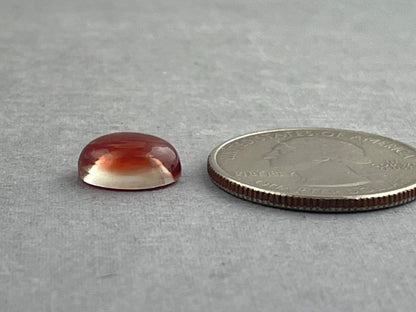 11x9 Oregon Sunstone Oval Cabochon | Schiller | 3.9 carats | OSC301 - Oregon Sunstone - Gem Enthusiast