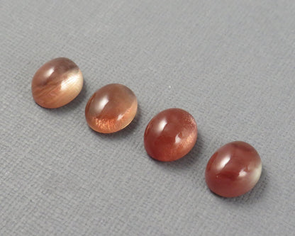 11x9 Oregon Sunstone Oval Cabochons | avg 4.38ct | Per Stone | Oregon USA | OSC356 - Gem Enthusiast