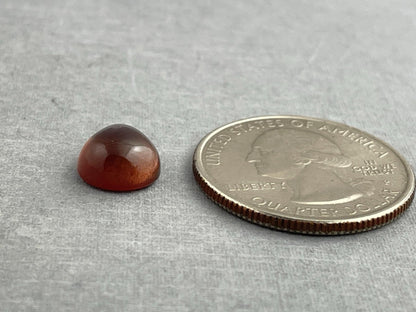 11x9 Oregon Sunstones Pear Cabochon | Beautiful Schiller! | 3.42 carats | OSC292 - Oregon Sunstone - Gem Enthusiast