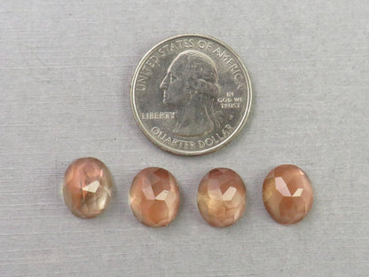12x9 Oregon Sunstone Oval Rose Cut Cabochon Gemstones | Mined in the USA | OSR131 - Gem Enthusiast
