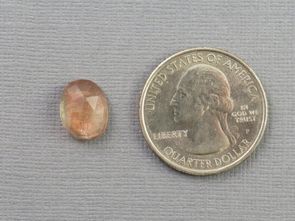 12x9 Oregon Sunstones with Schiller | Oval Rose Cut Cabochon | 3.8 carats | OSR126 - Gem Enthusiast