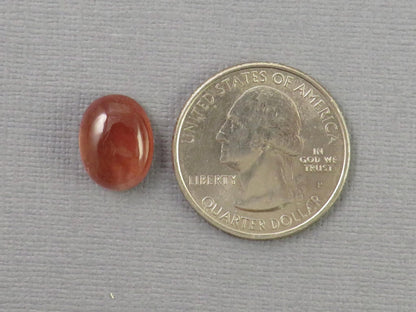 13x10 Oregon Sunstone Cabochon Oval | 5.9ct | Ponderosa, Oregon USA | OSC346 - Gem Enthusiast