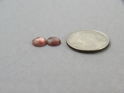 8mm Oregon Sunstone Rose Cut Round Matched Pair | Plush Sunstone | 8x3mm, 2.76ct | Oregon USA | OSR140 - Gem Enthusiast