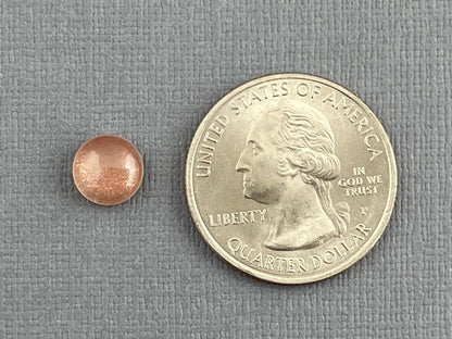 8mm Oregon Sunstone Round Cabochon | Natural American Gemstone | 2.16 cts | OSC224 - Oregon Sunstone - Gem Enthusiast