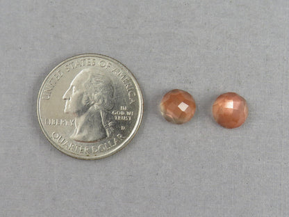 8mm Oregon Sunstones with Schiller | Round Rosecut Cabochon Pair | OSR103 - Gem Enthusiast