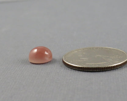 9mm Oregon Sunstone Cabochon Round | 9.1x9.1mm, 3.46ct | Oregon USA | OSC358 - Gem Enthusiast