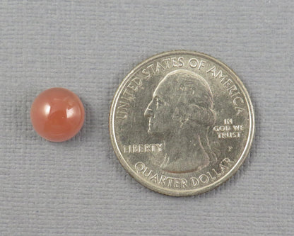 9mm Oregon Sunstone Cabochon Round | 9.1x9.1mm, 3.46ct | Oregon USA | OSC358 - Gem Enthusiast