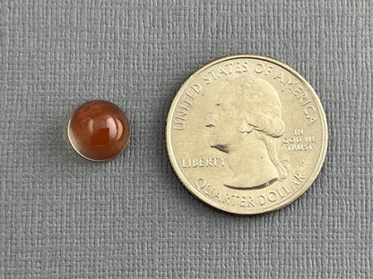 9mm Oregon Sunstone Round Cabochon | Natural American Gemstone | 3.42 carats | OSC273 - Oregon Sunstone - Gem Enthusiast