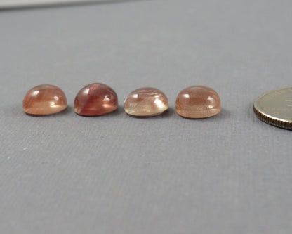 9mm Oregon Sunstone Round Cabochons | avg 3.4ct | Sold Per Stone | Ponderosa, Oregon USA | OSC360 - Gem Enthusiast