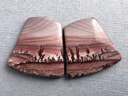 American Gem Set | New Mexico Apache Sage Rhyolite and Arizona Garnets | SET107 - Gem Enthusiast