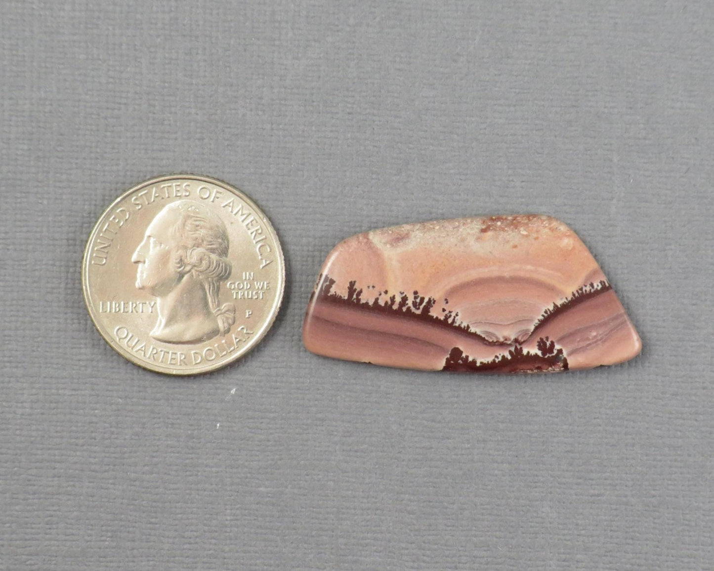 Apache Sage Cabochon Freeform | Apache Rhyolite | 40x19mm, 21.3ct | New Mexico USA | RH125 - Gem Enthusiast