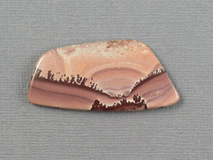 Apache Sage Cabochon Freeform | Apache Rhyolite | 40x19mm, 21.3ct | New Mexico USA | RH125 - Gem Enthusiast