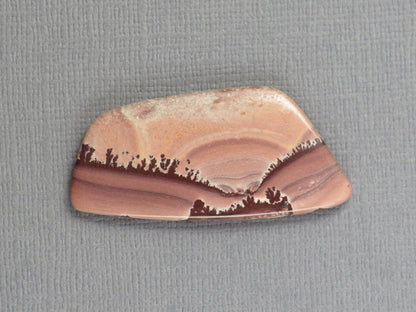 Apache Sage Cabochon Freeform | Apache Rhyolite | 40x19mm, 21.3ct | New Mexico USA | RH125 - Gem Enthusiast
