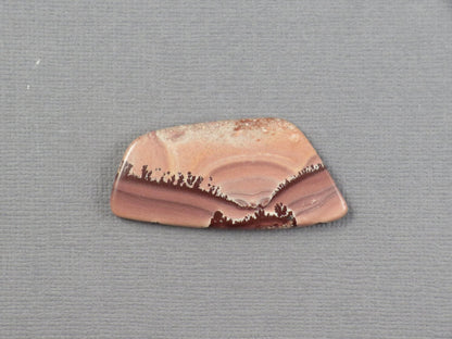 Apache Sage Cabochon Freeform | Apache Rhyolite | 40x19mm, 21.3ct | New Mexico USA | RH125 - Gem Enthusiast