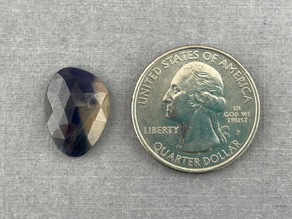 Bicolor Sapphire Rose Cut | Natural Loose Gemstones| 8.85 carats | SBC106 - Sapphire - Gem Enthusiast