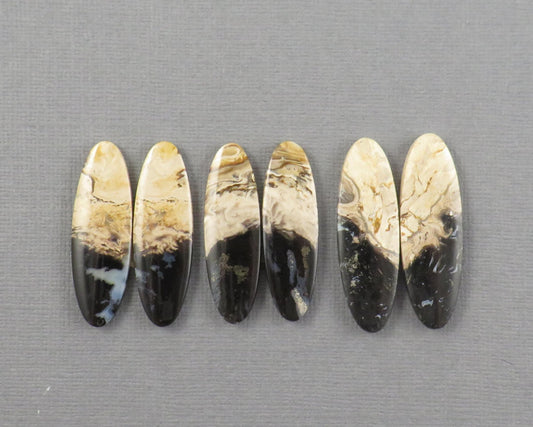 Black And Fossil Palm Root Oval | Cabochon for Setting | 33–36mm, avg 21ct | Per Pair | Indonesia | PRF107 - Gem Enthusiast