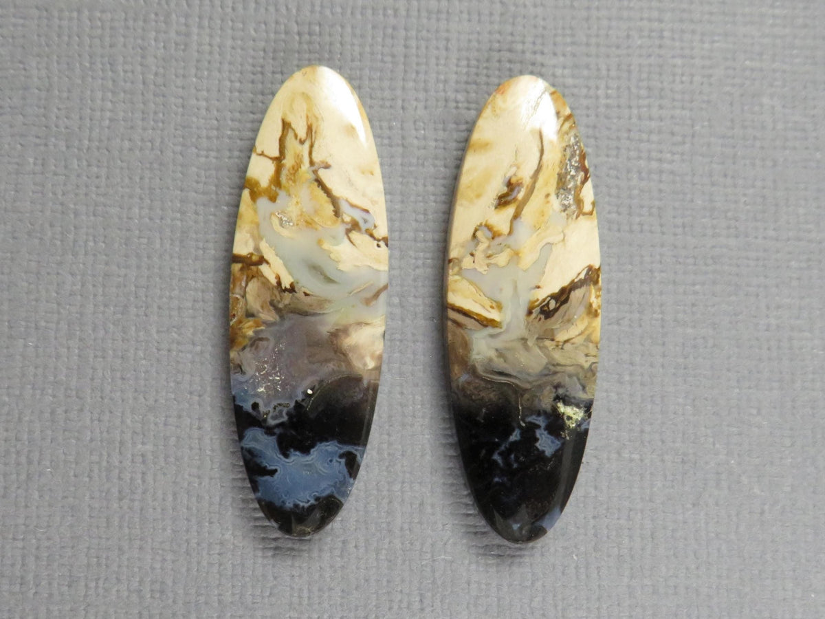 Black Fossil Palm Root Oval Cabochon Pair, Petrified Wood, 34x11mm | PRF109 - Gem Enthusiast