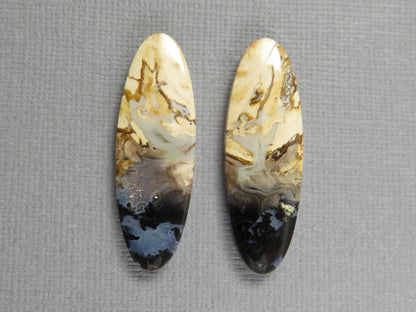 Black Fossil Palm Root Oval Cabochon Pair, Petrified Wood, 34x11mm | PRF109 - Gem Enthusiast