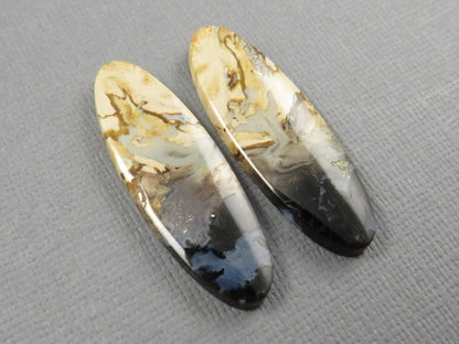 Black Fossil Palm Root Oval Cabochon Pair, Petrified Wood, 34x11mm | PRF109 - Gem Enthusiast